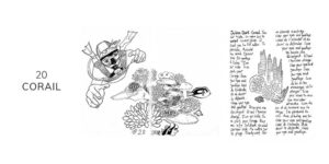 Dessin noir et blanc de corail